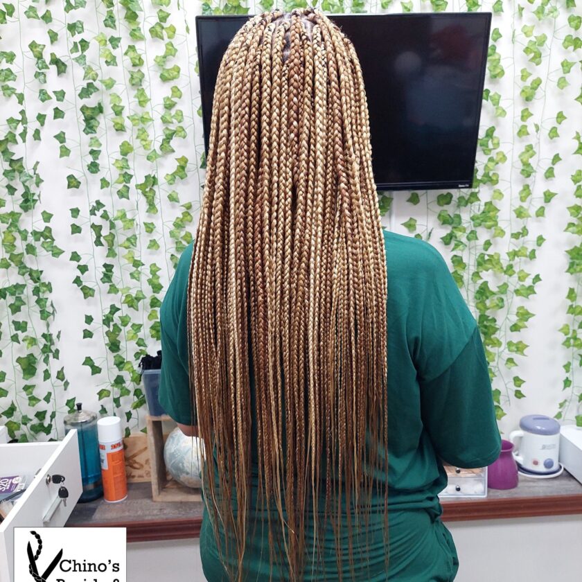 Medium box braids Waist length - Image 2