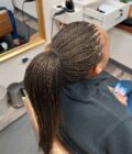 Small Senegalese Twist Reg Length
